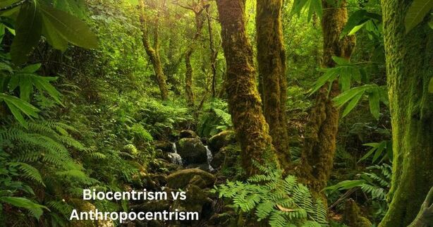 Biocentrism vs Anthropocentrism